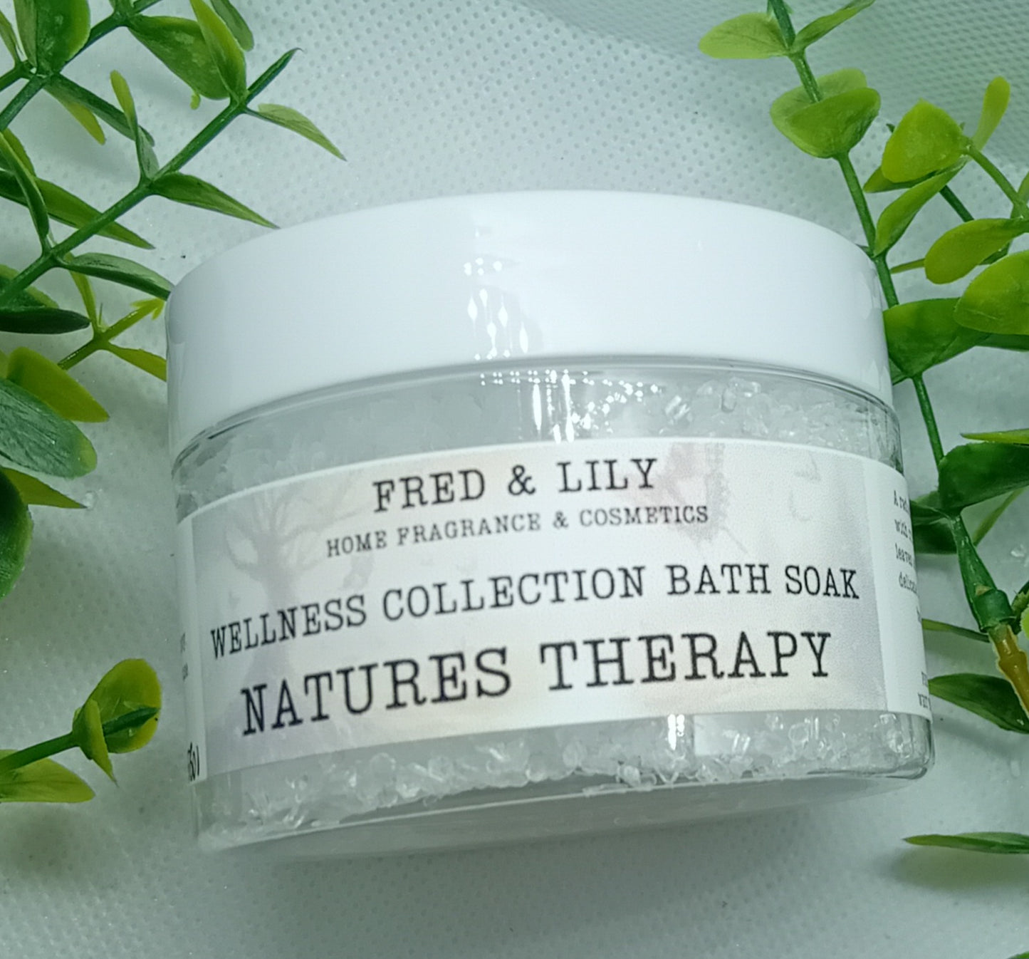 Wellness Collection Bath Salts Soak - Natures Therapy