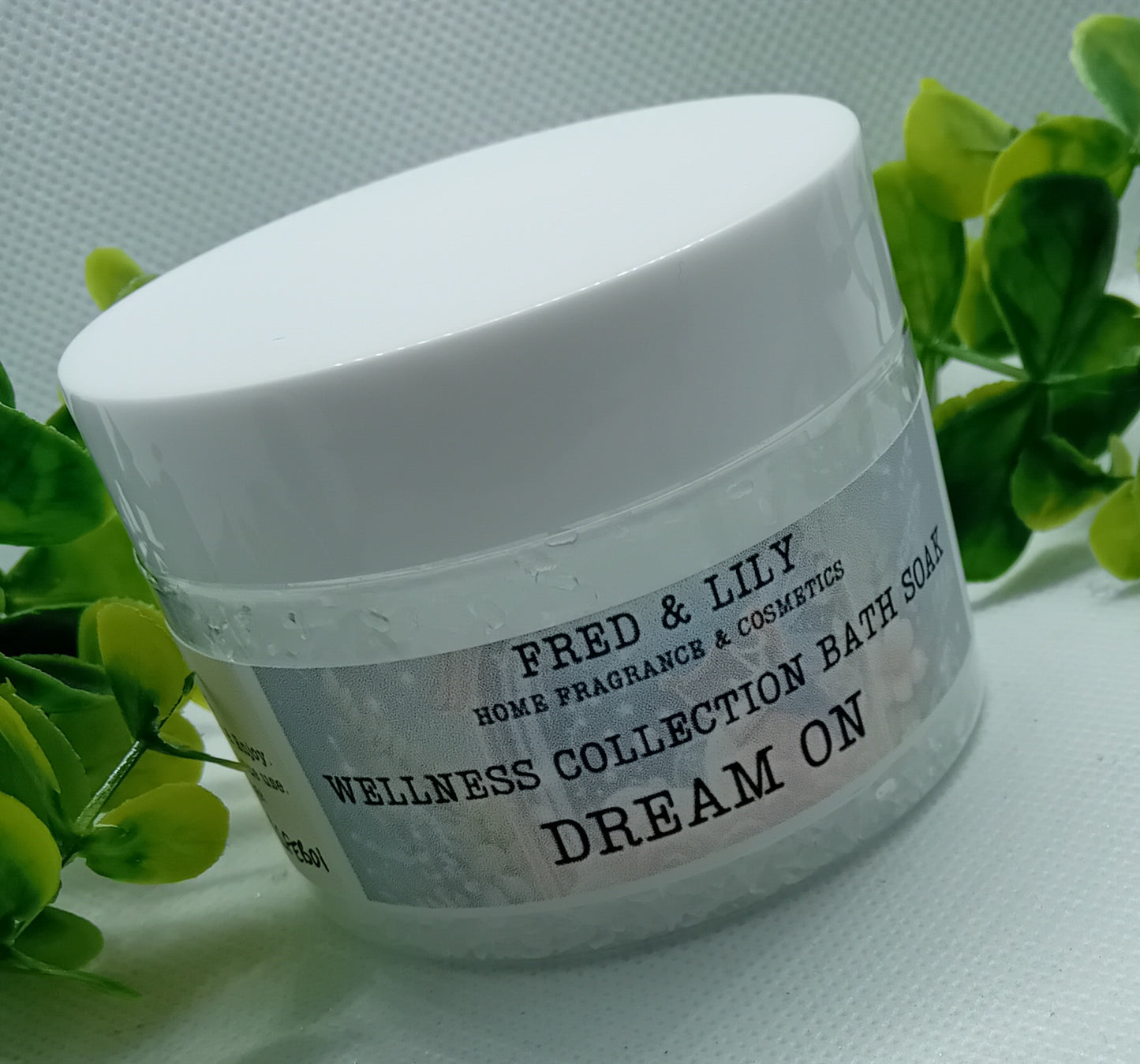 Wellness Collection Bath Salts Soak - Dream On