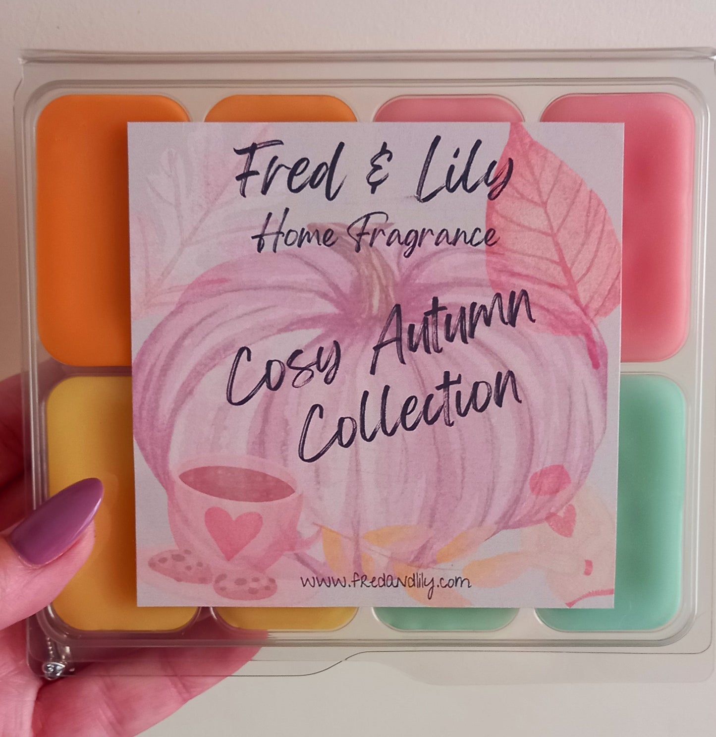 Cosy Autumn Wax Melt Collection